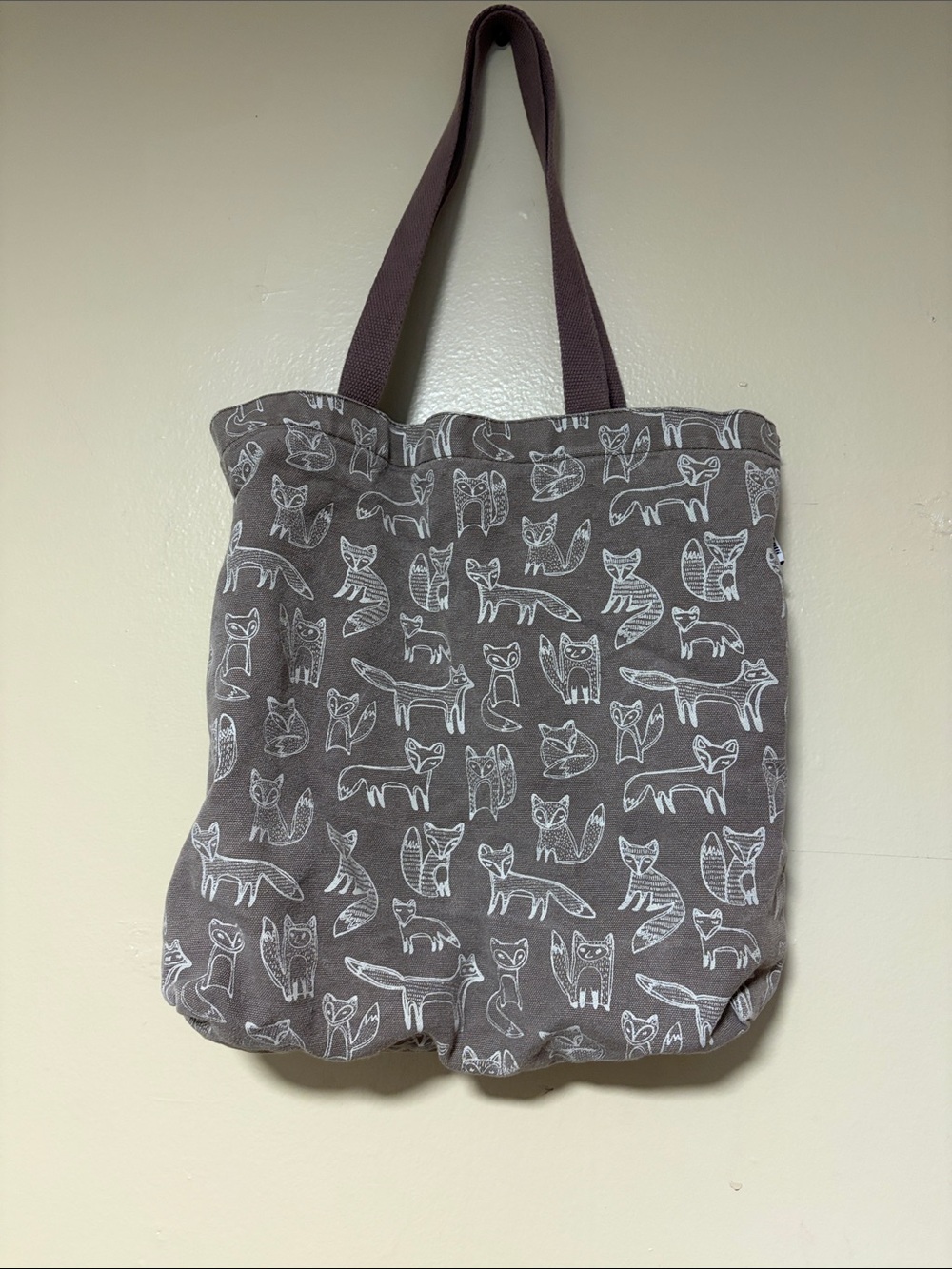 Fox grocery tote bag book hiking